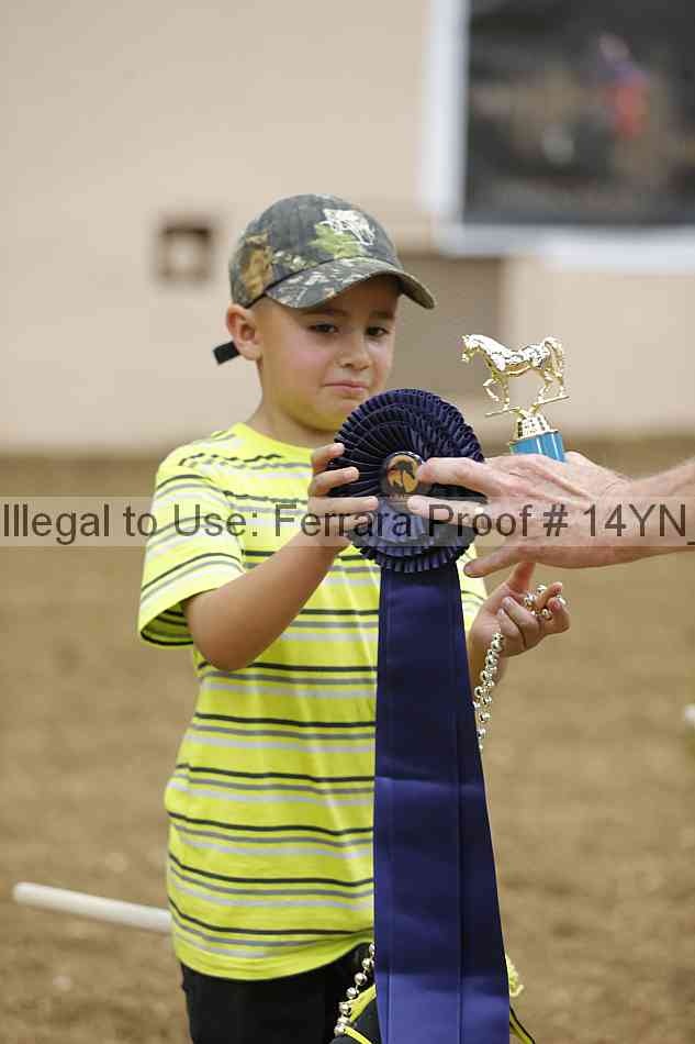 Proof 14yn_08948