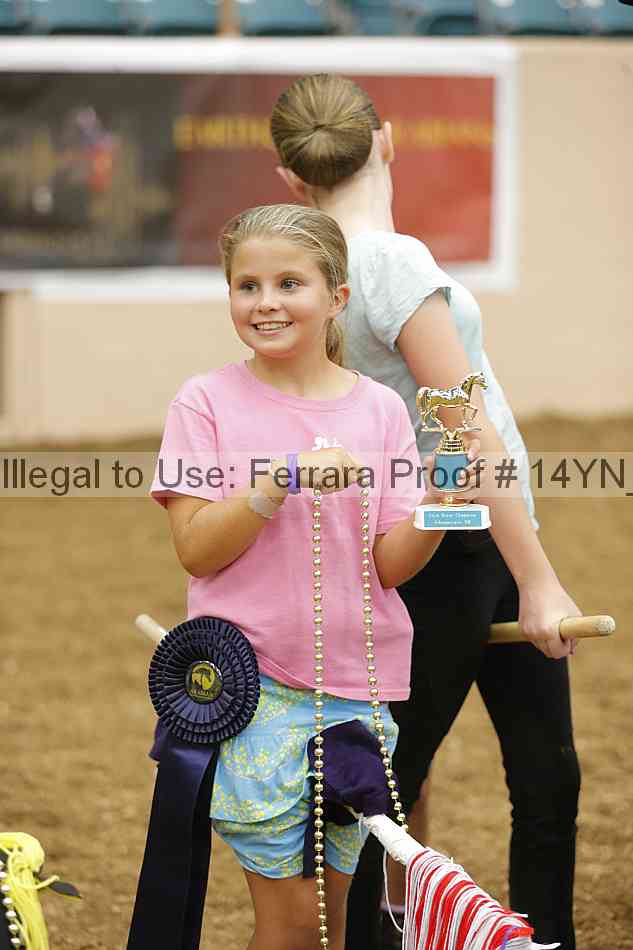 Proof 14yn_08951