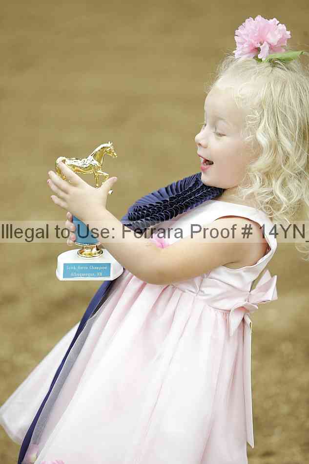Proof 14yn_08955