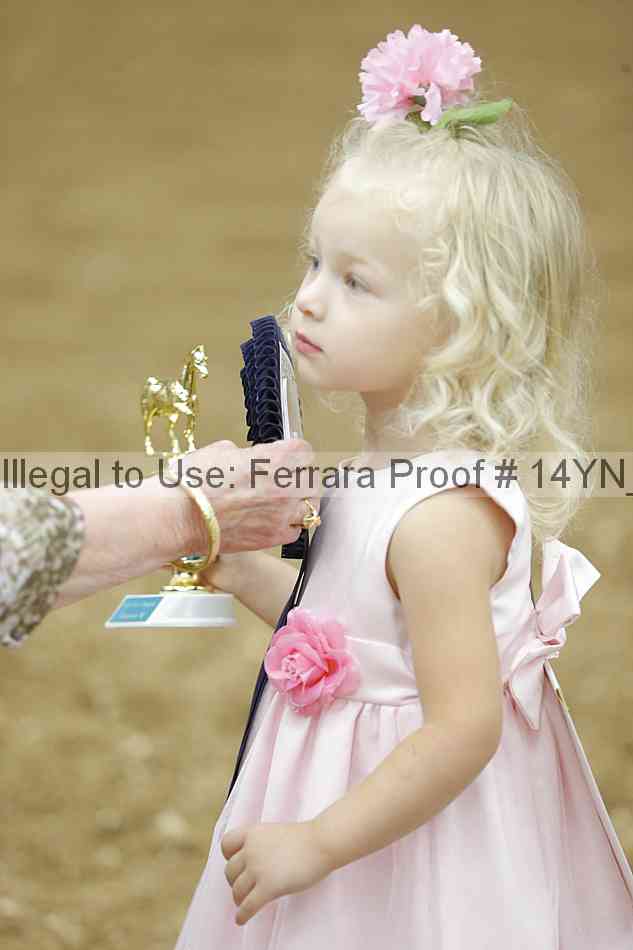 Proof 14yn_08957