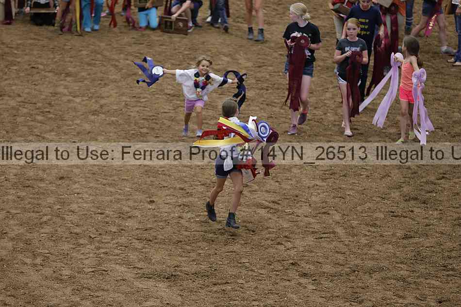 Proof 14yn_26513