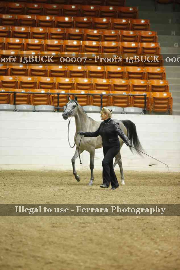 Proof 15BUCK_00007