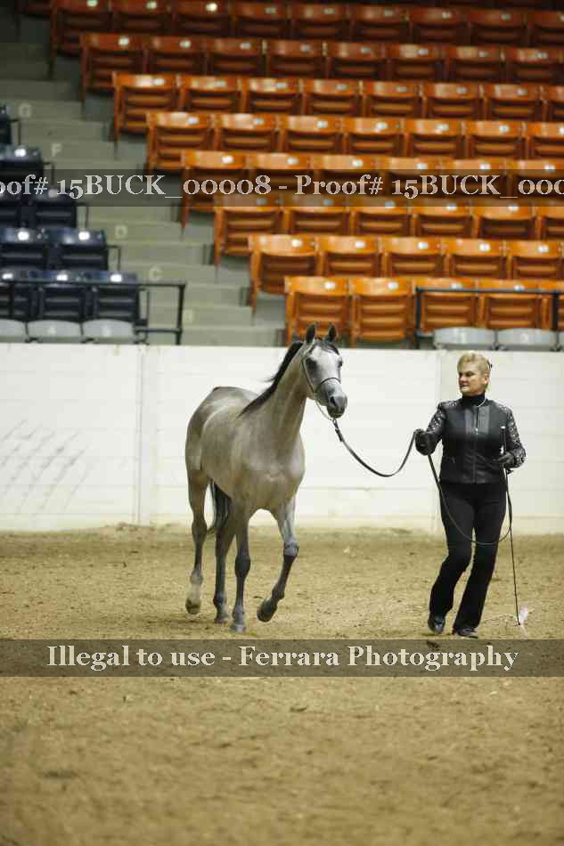 Proof 15BUCK_00008