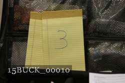 15BUCK_00010 proof