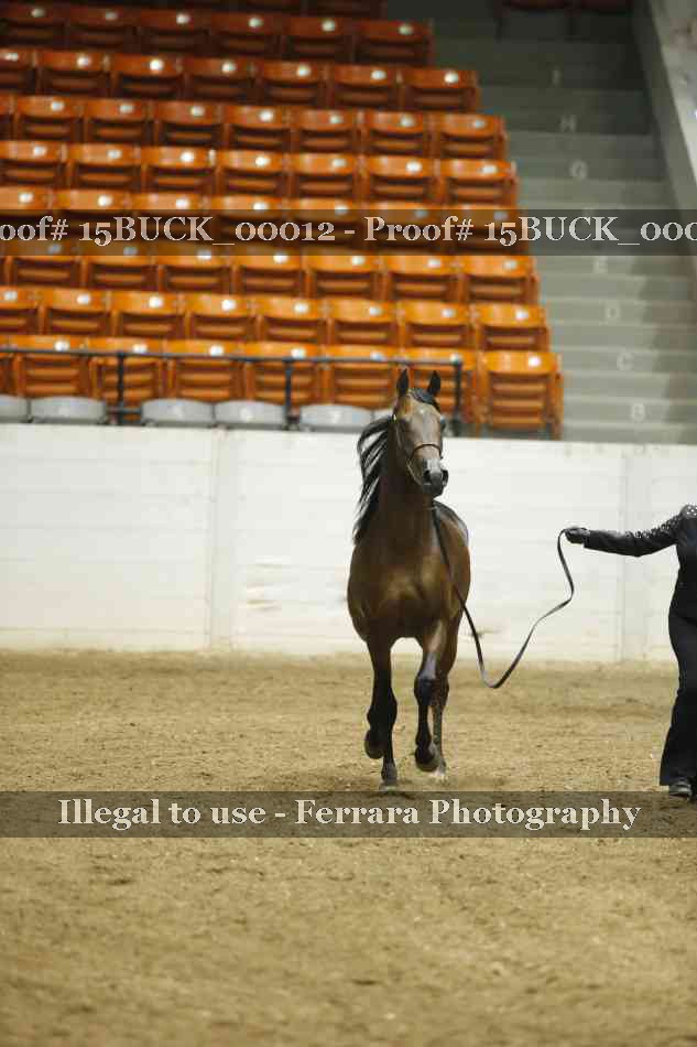 Proof 15BUCK_00012