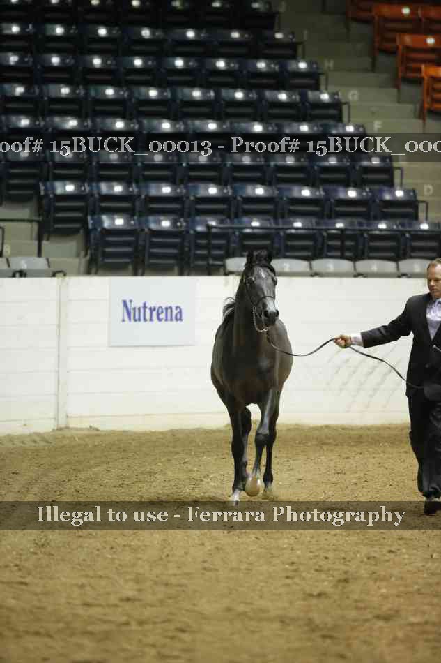 Proof 15BUCK_00013