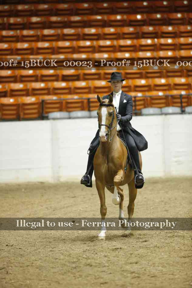 Proof 15BUCK_00023