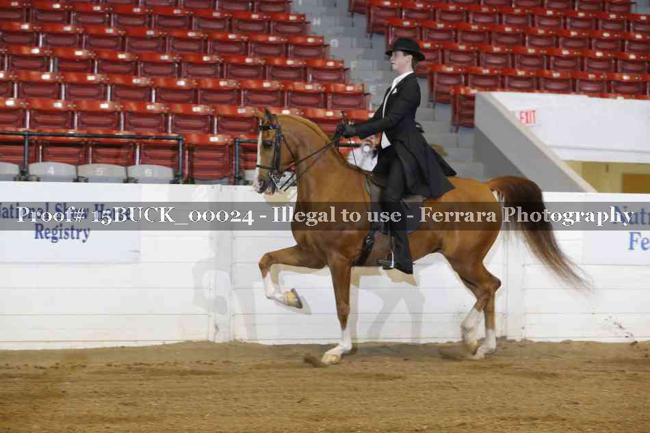 Proof 15BUCK_00024
