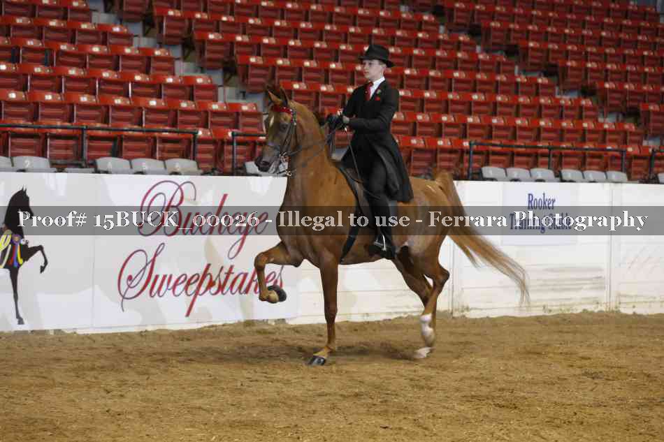 Proof 15BUCK_00026