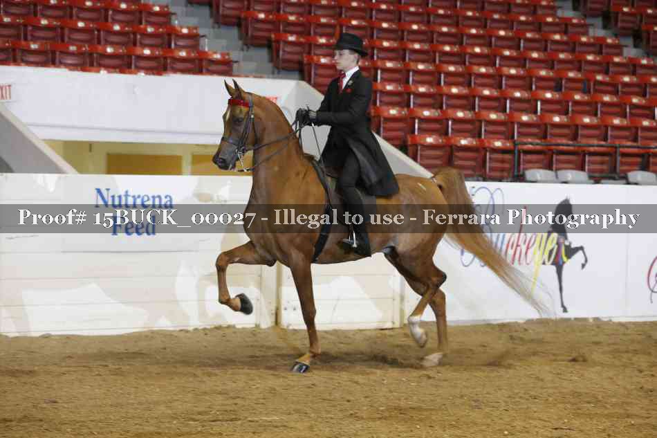 Proof 15BUCK_00027