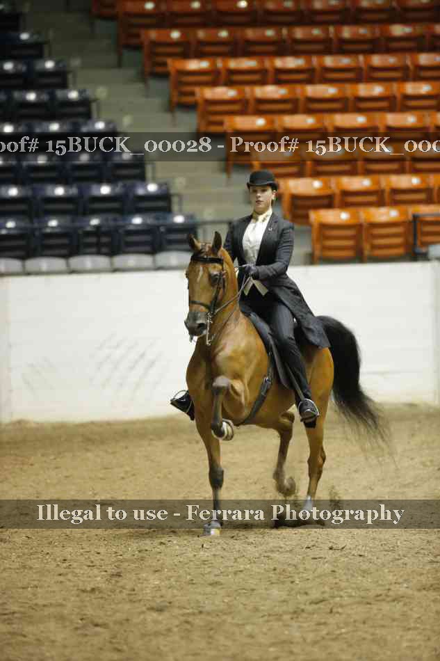 Proof 15BUCK_00028
