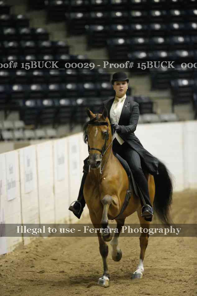 Proof 15BUCK_00029