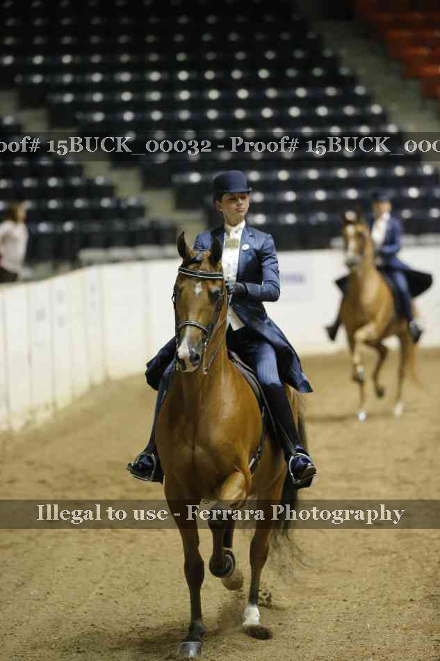 Proof 15BUCK_00032