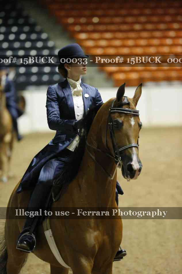 Proof 15BUCK_00033