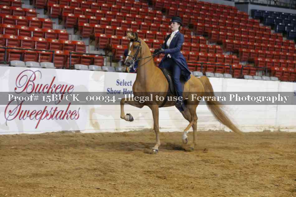 Proof 15BUCK_00034