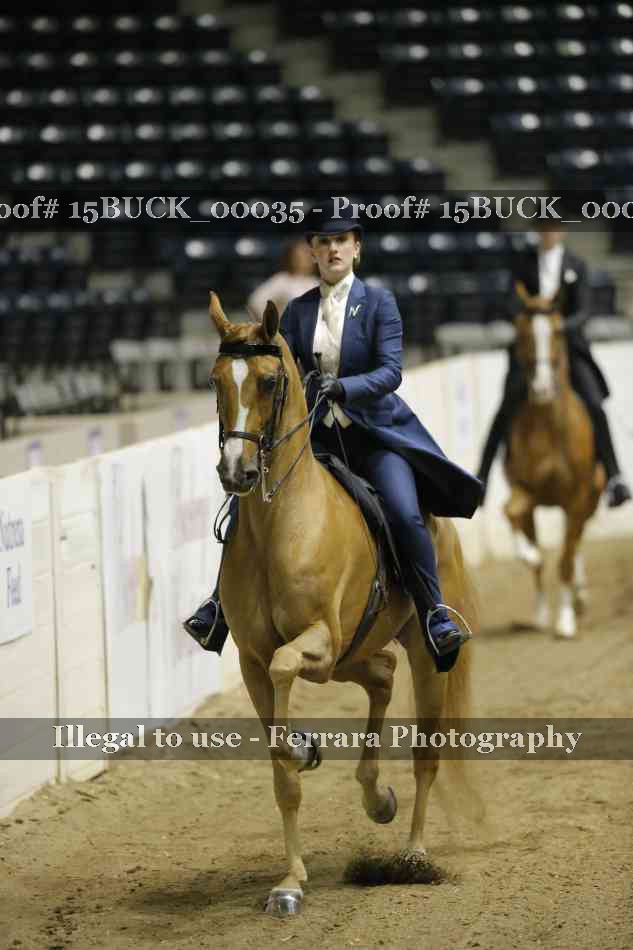 Proof 15BUCK_00035