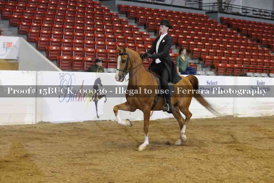 Proof 15BUCK_00036
