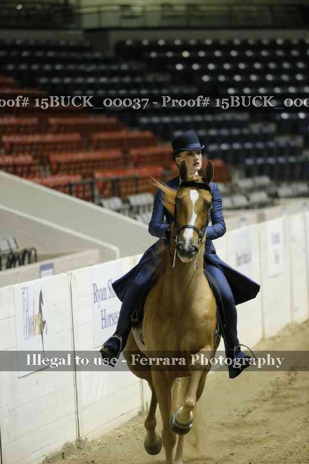 Proof 15BUCK_00037