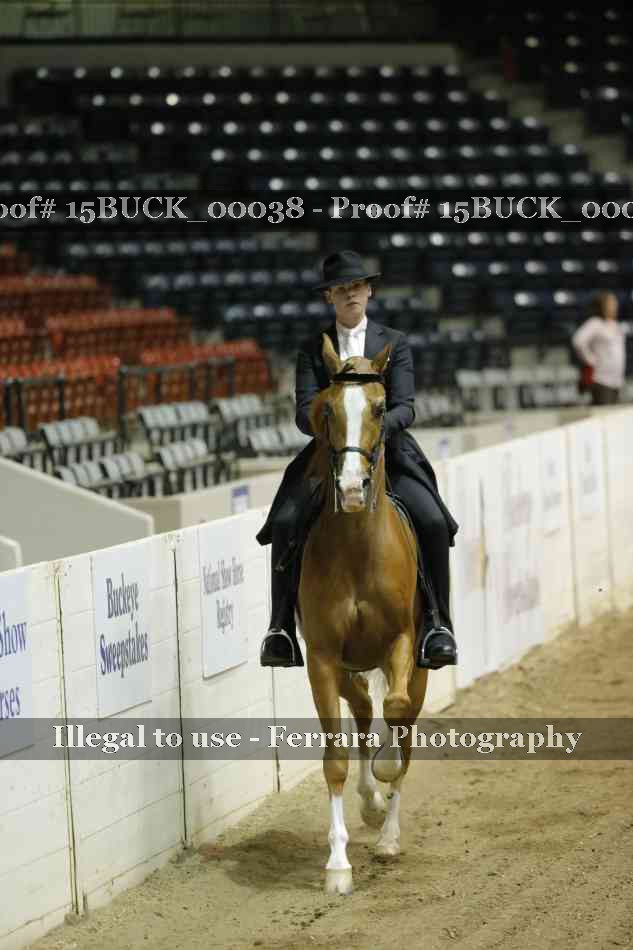 Proof 15BUCK_00038