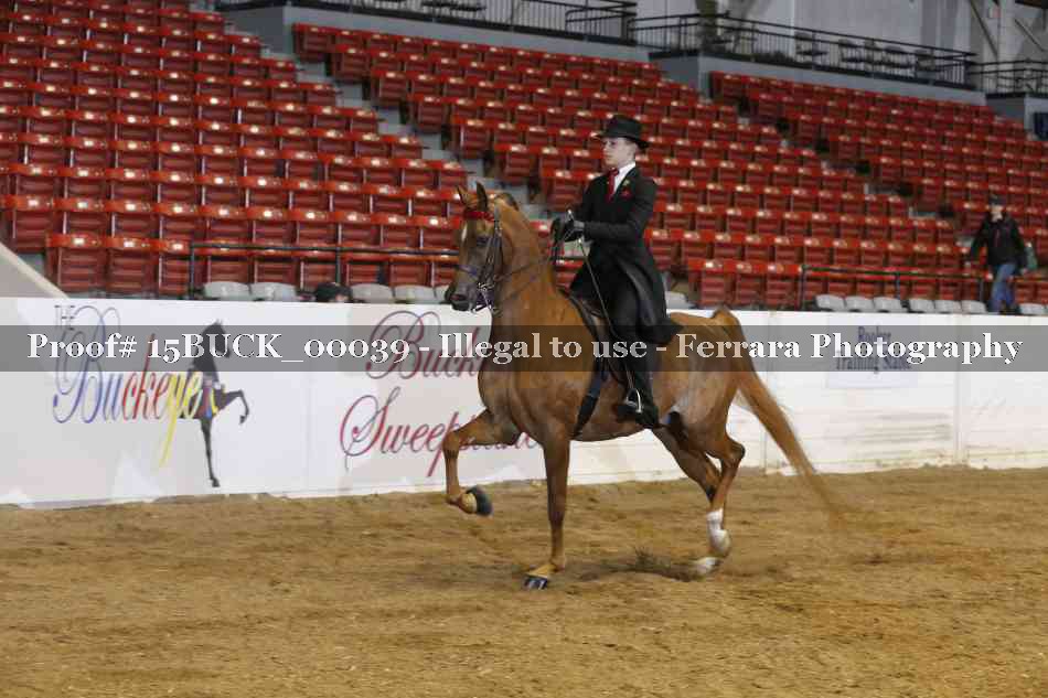 Proof 15BUCK_00039