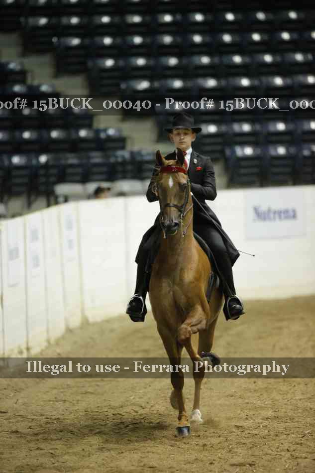 Proof 15BUCK_00040