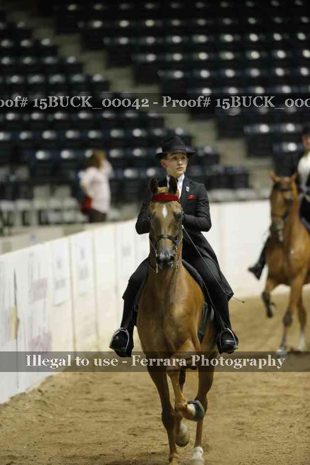 Proof 15BUCK_00042