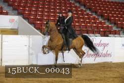 15BUCK_00043 proof