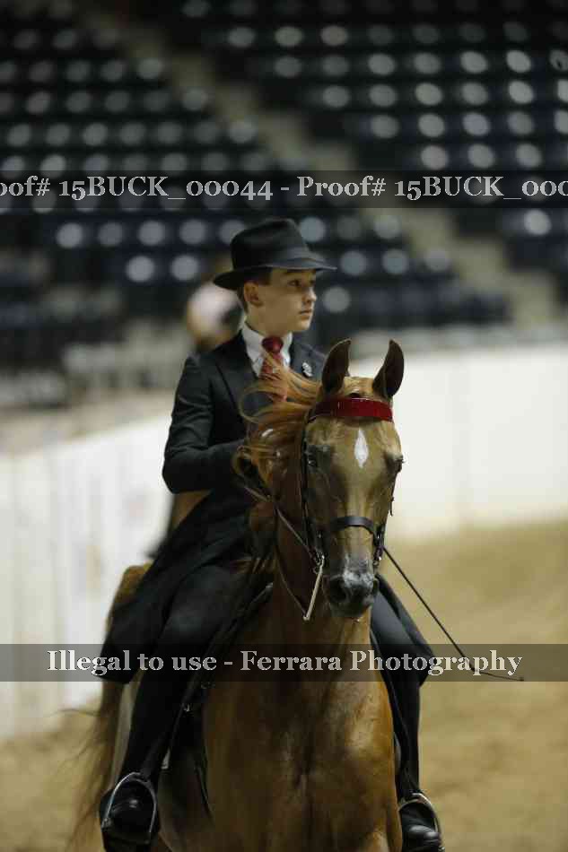 Proof 15BUCK_00044