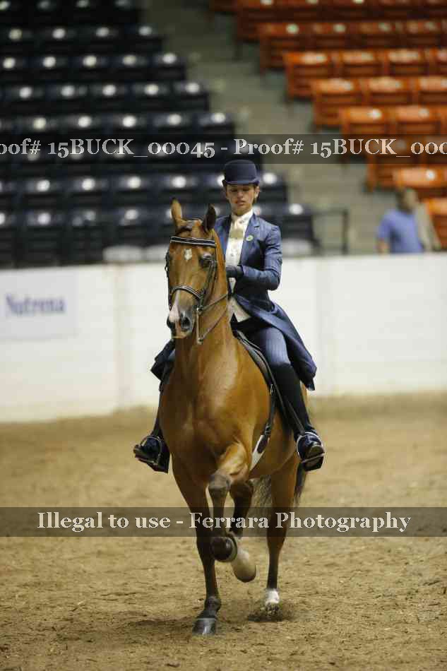Proof 15BUCK_00045