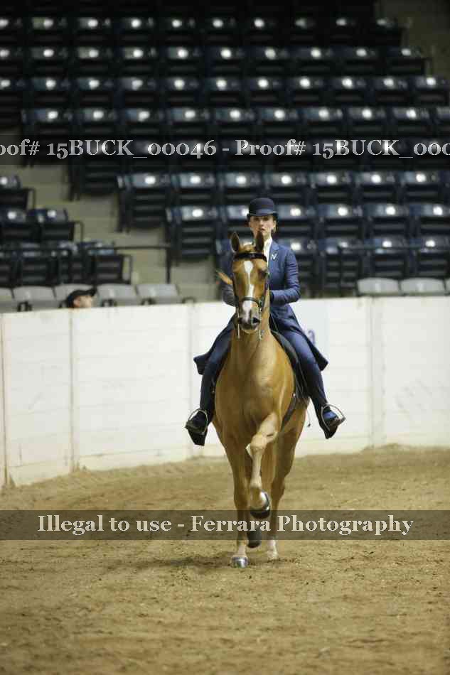 Proof 15BUCK_00046