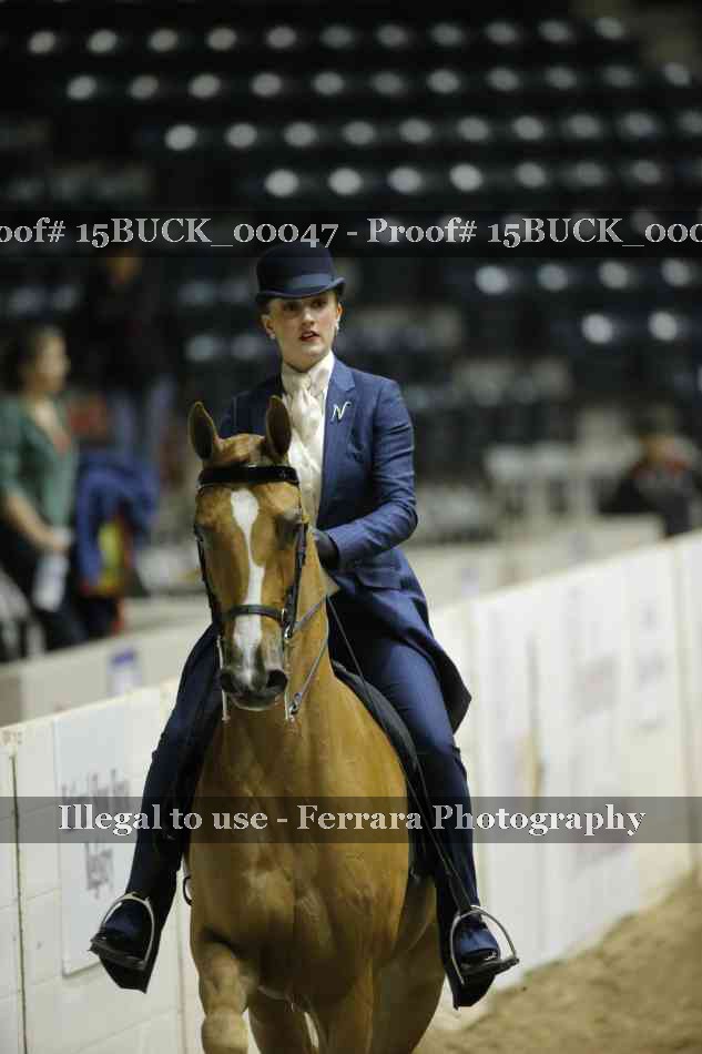Proof 15BUCK_00047