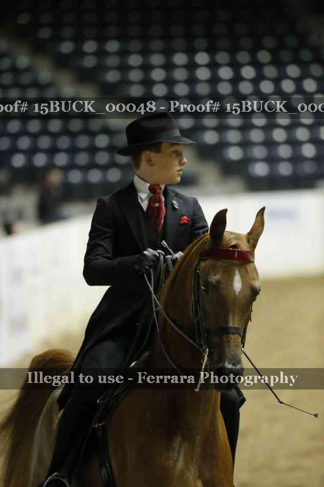Proof 15BUCK_00048