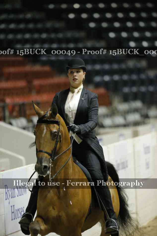 Proof 15BUCK_00049