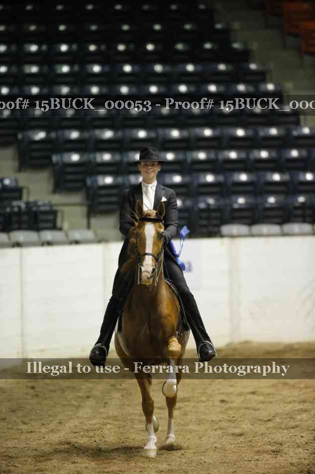 Proof 15BUCK_00053