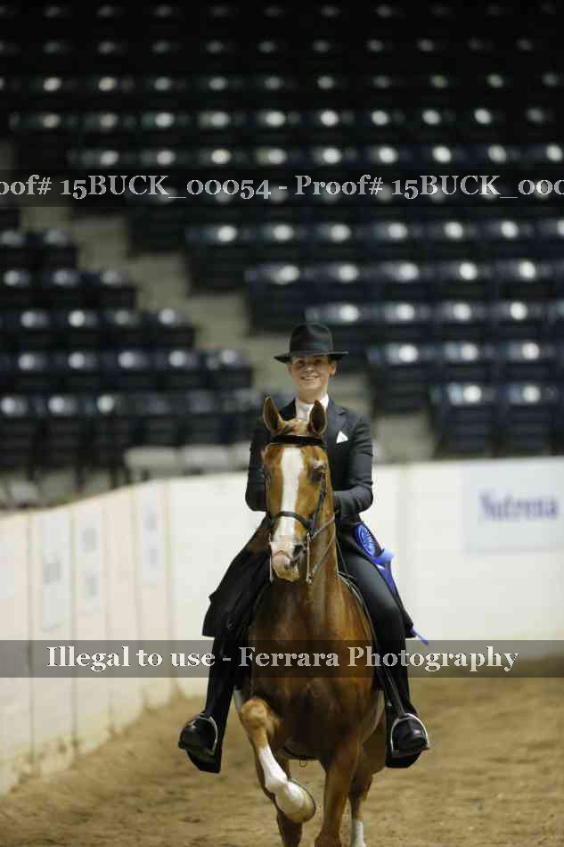 Proof 15BUCK_00054