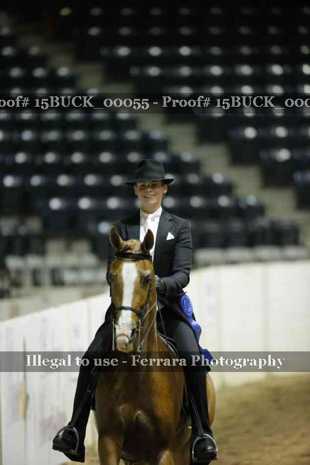 Proof 15BUCK_00055
