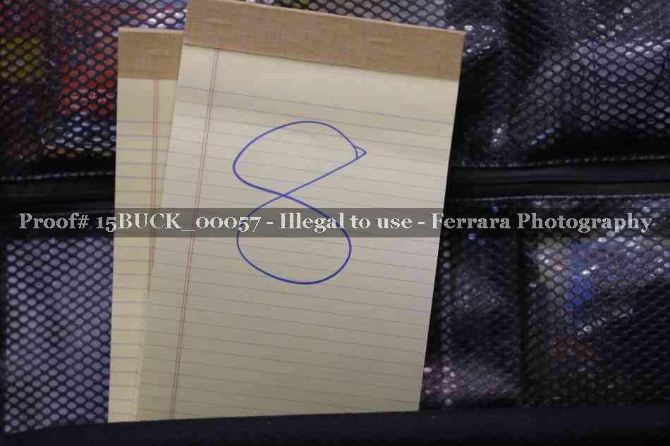Proof 15BUCK_00057