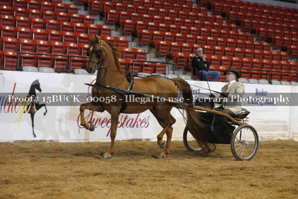 Proof 15BUCK_00058