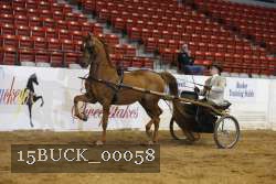 15BUCK_00058 proof