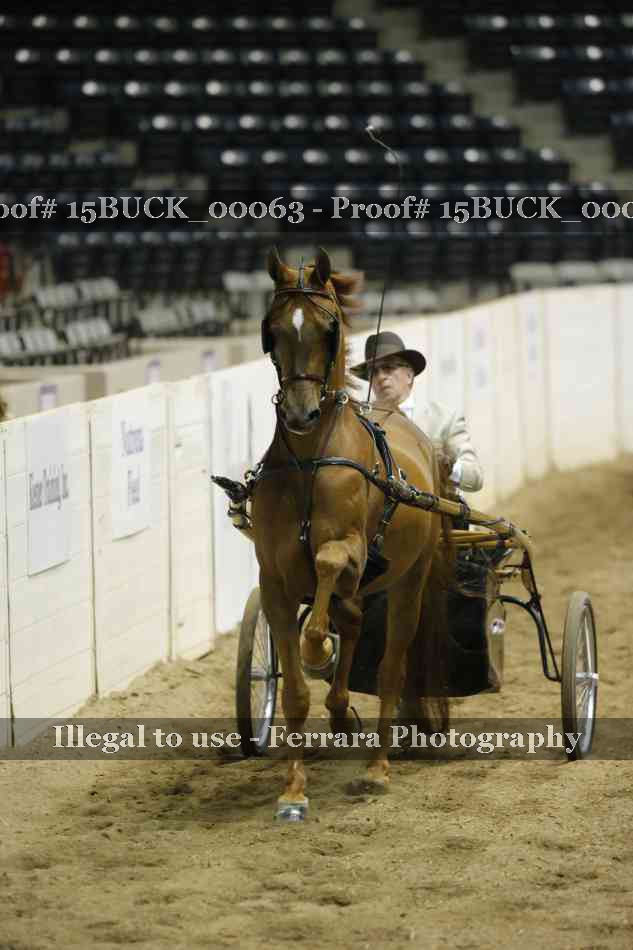 Proof 15BUCK_00063