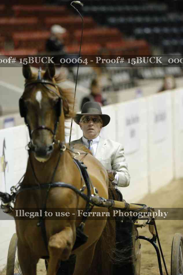 Proof 15BUCK_00064