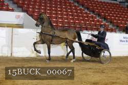 15BUCK_00067 proof