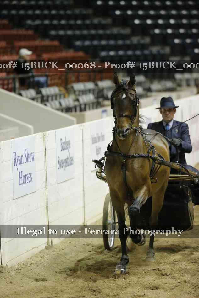 Proof 15BUCK_00068