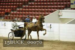 15BUCK_00070 proof
