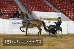 15BUCK_00071 proof