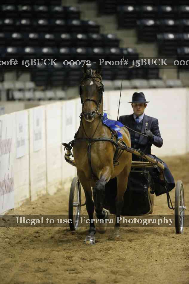 Proof 15BUCK_00072
