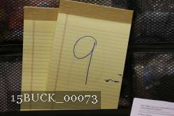 15BUCK_00073 proof