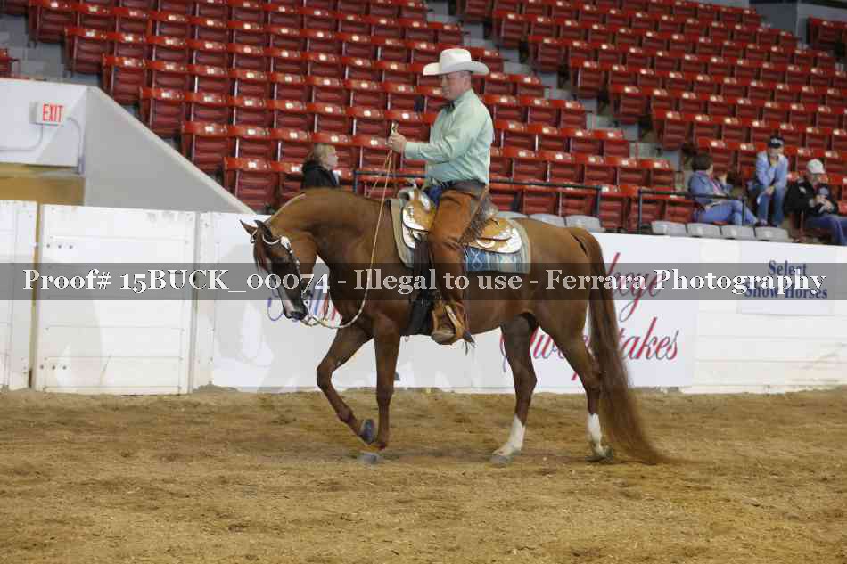 Proof 15BUCK_00074