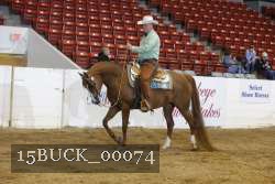 15BUCK_00074 proof