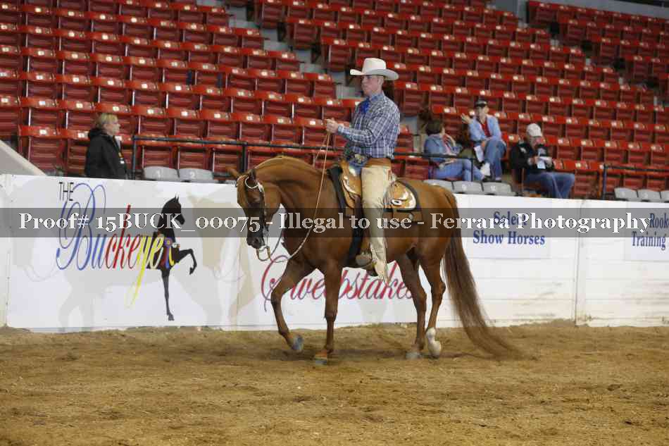 Proof 15BUCK_00075
